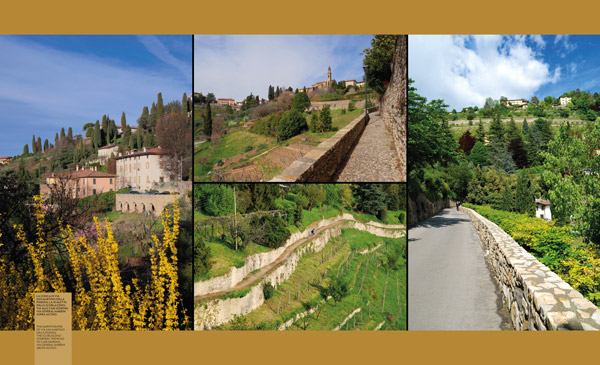 Passeggiate sui colli